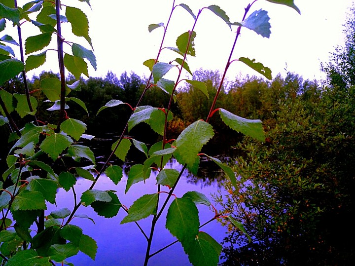 природа