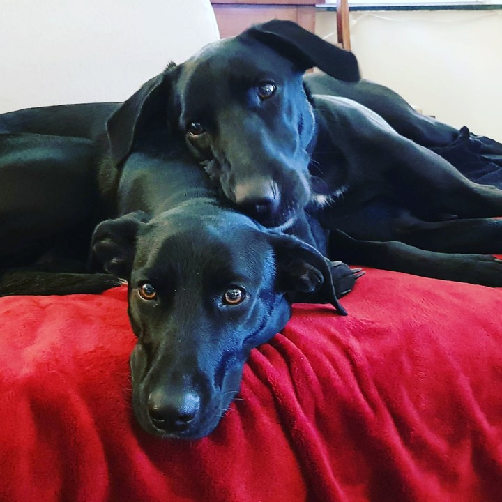 cosi et Lola