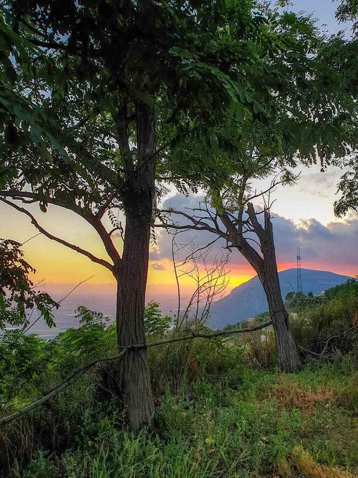 sunset