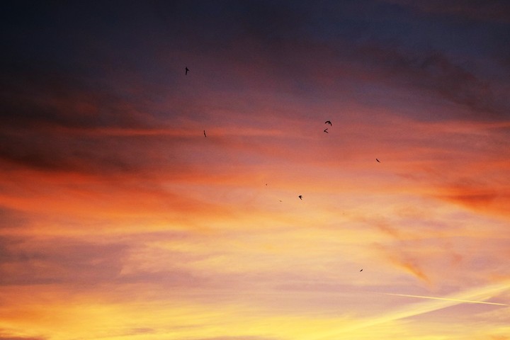 Orange Sky