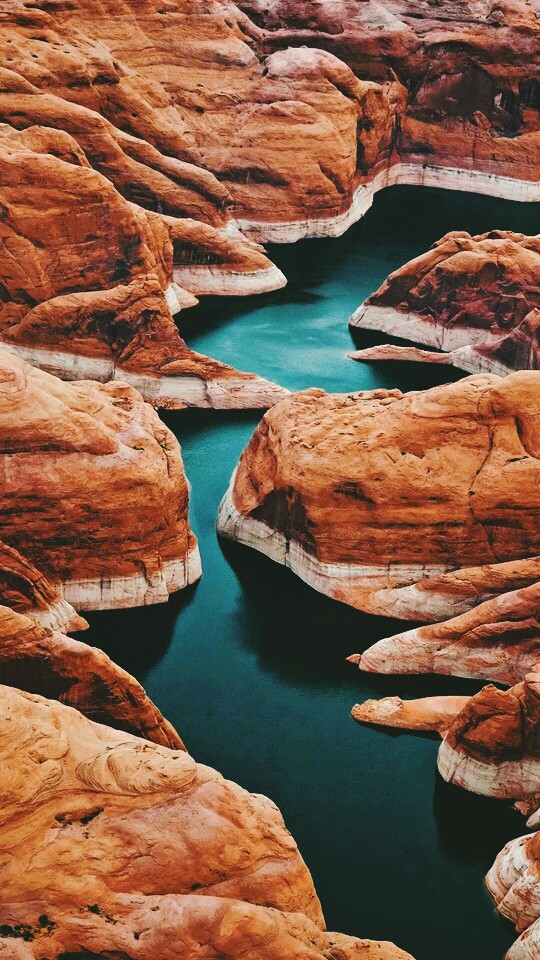 rio de cobra