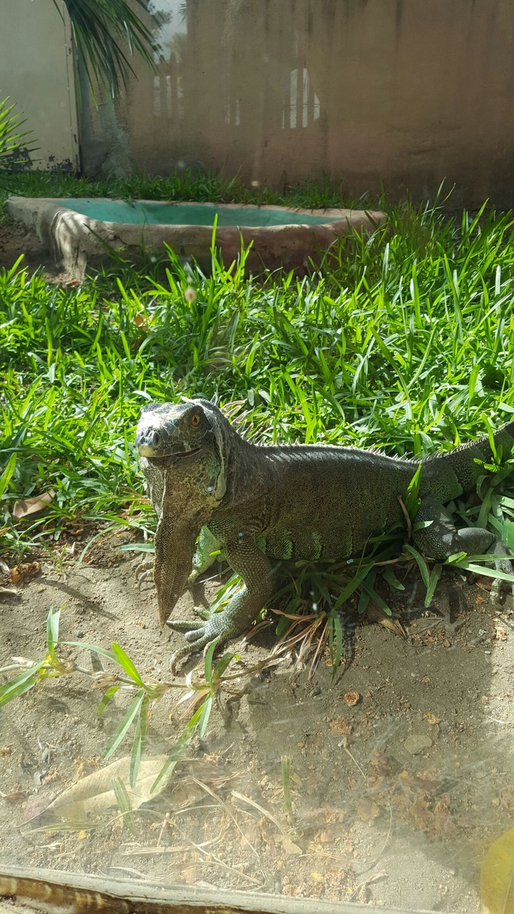 zoo#selwo# aventura