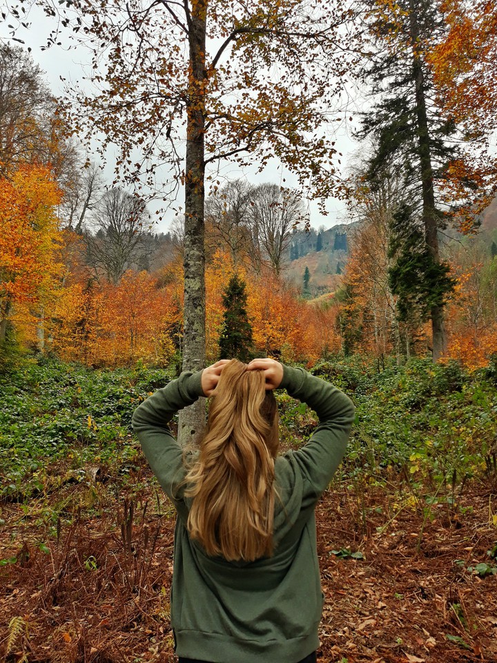 autumn
