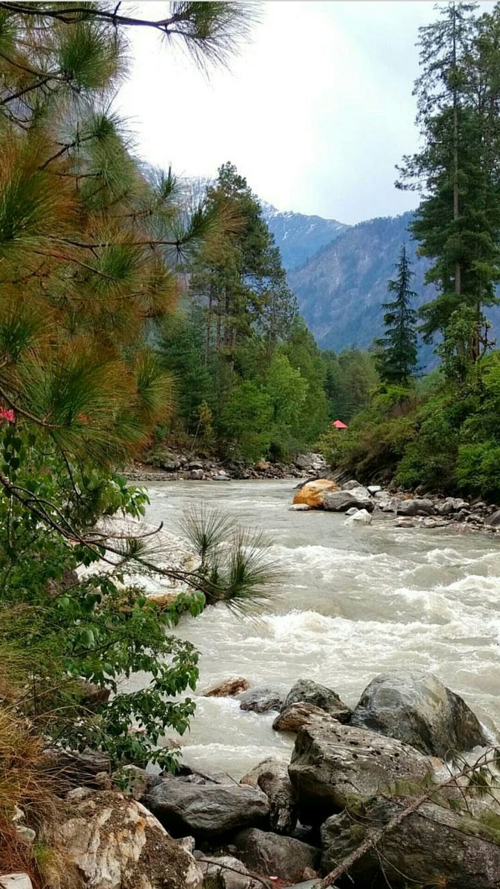 Kasol