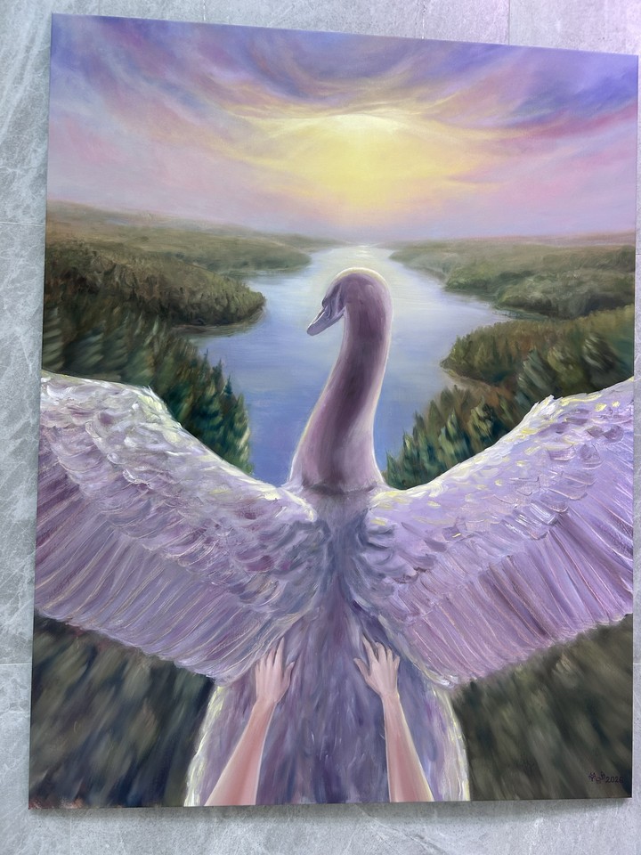 wing, swans achtergronden