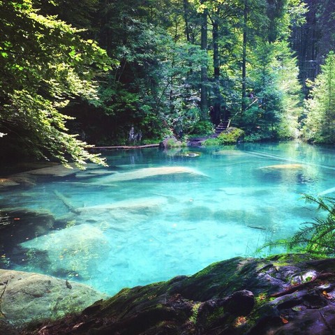 nature