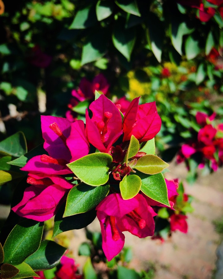 shot on iphone 6
