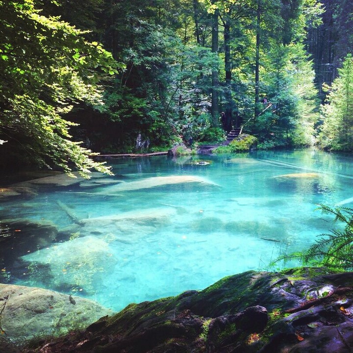 nature