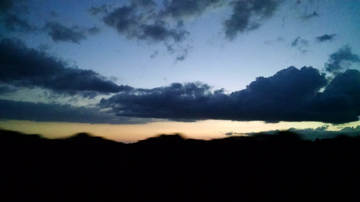Sky and Trees