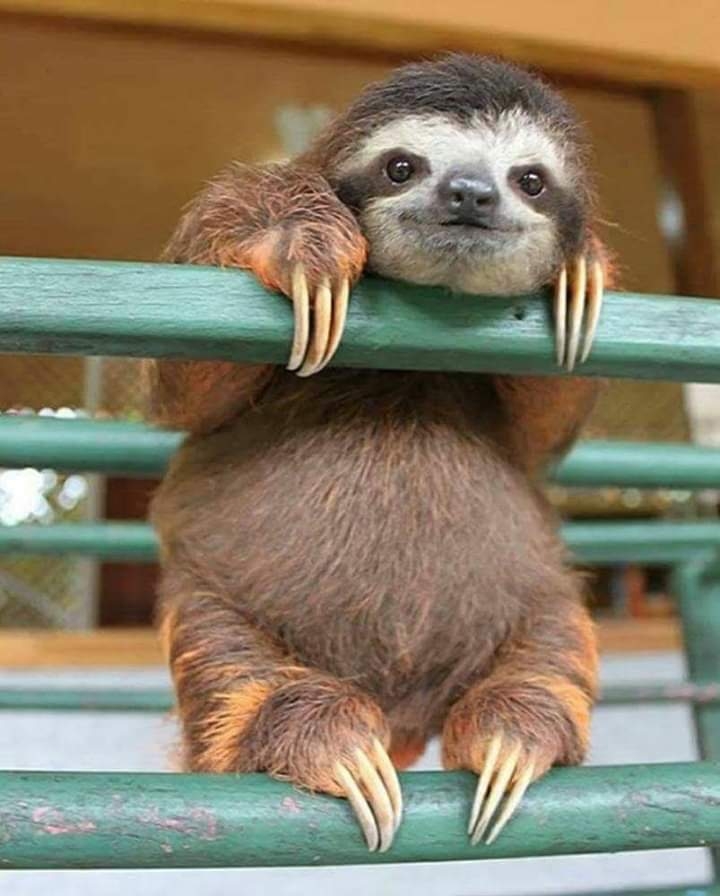 cutie ❤