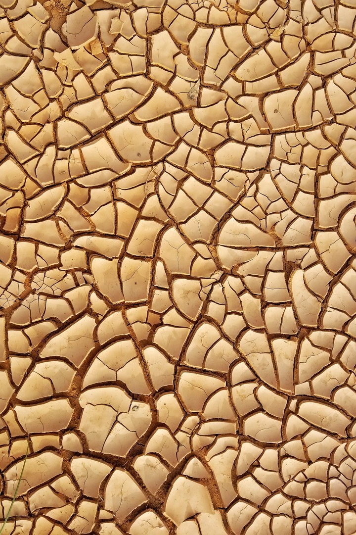 cracked mud