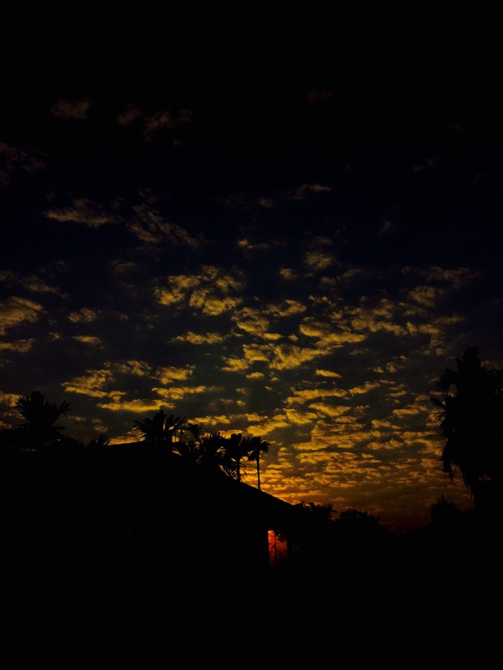 iron sky