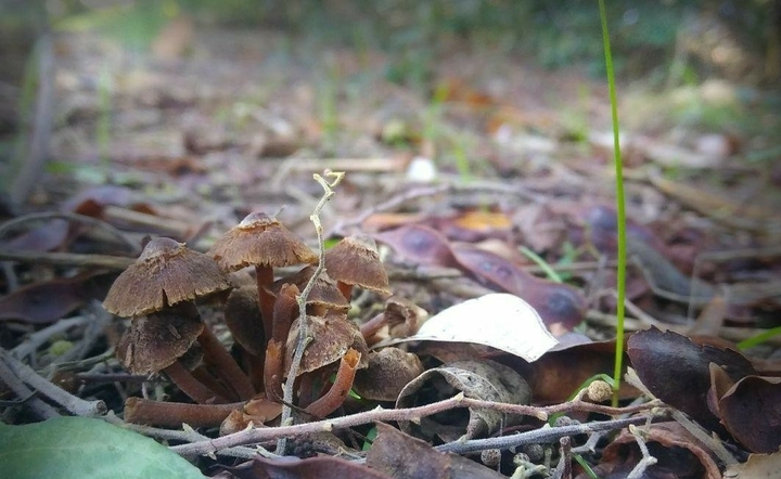 Winter *Nature*