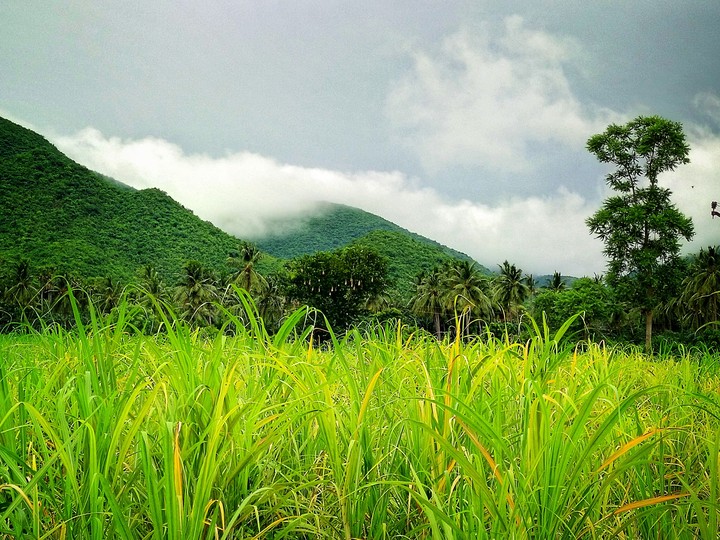 pic by me...??