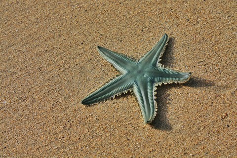 Mar