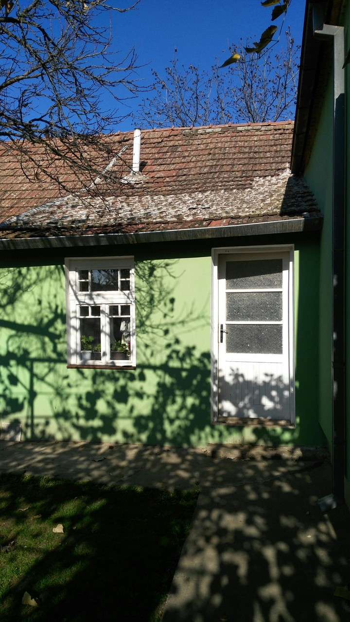 spring
