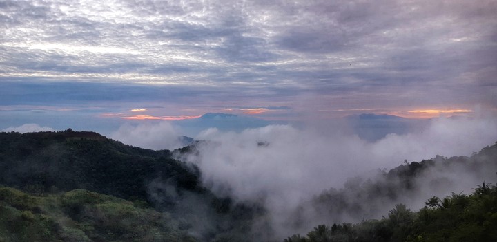 Fog