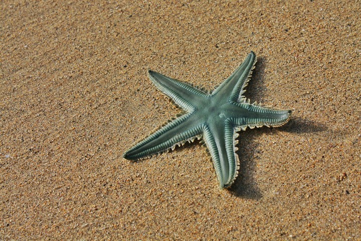 Mar