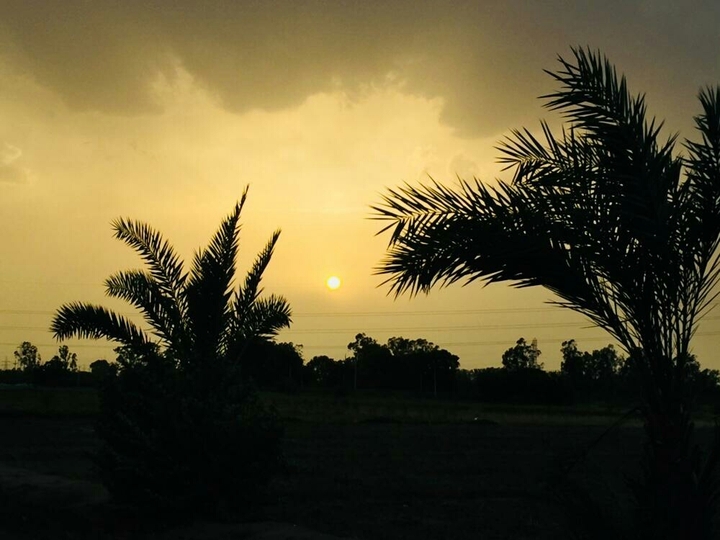 sun