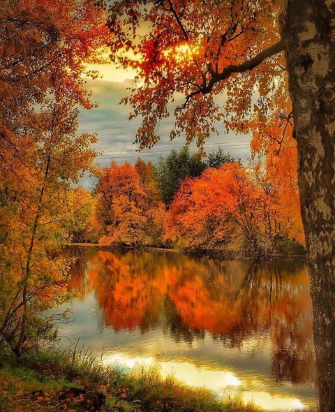 autumn...