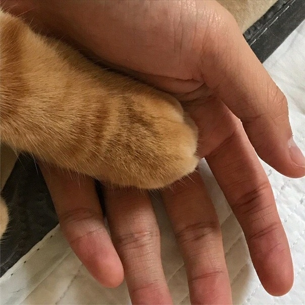 от
