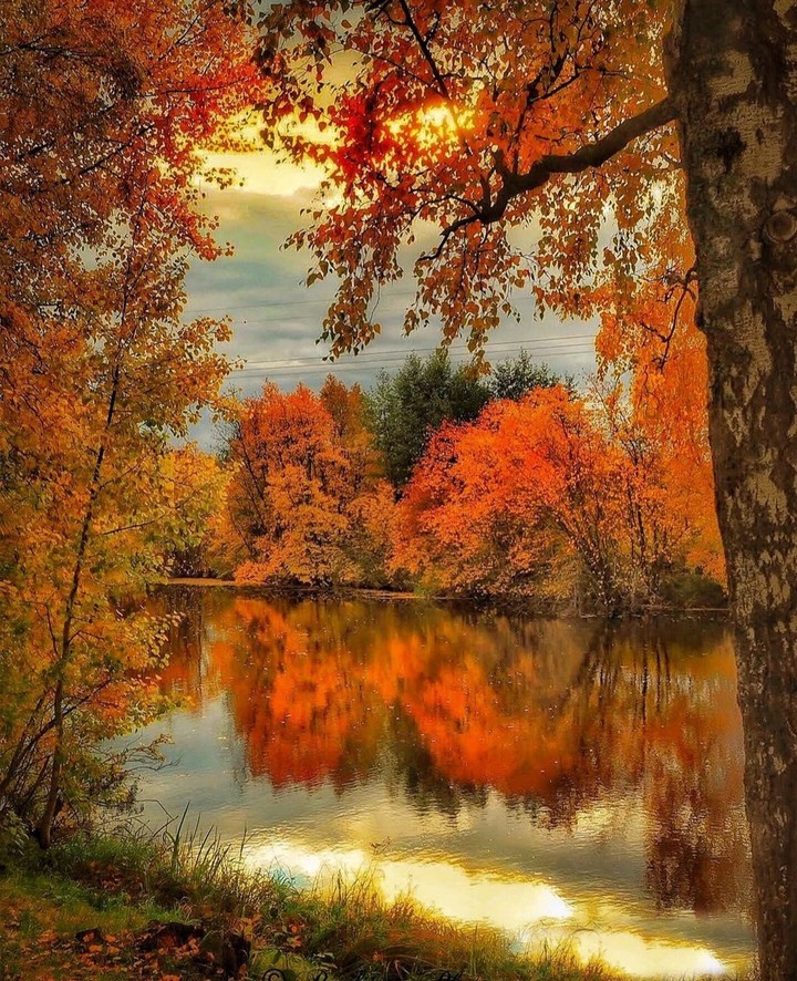 autumn...