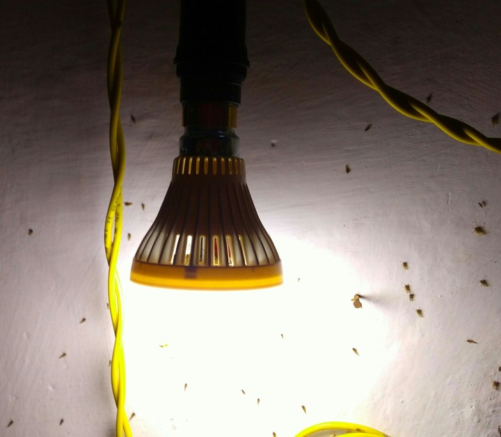 amazing lighting
