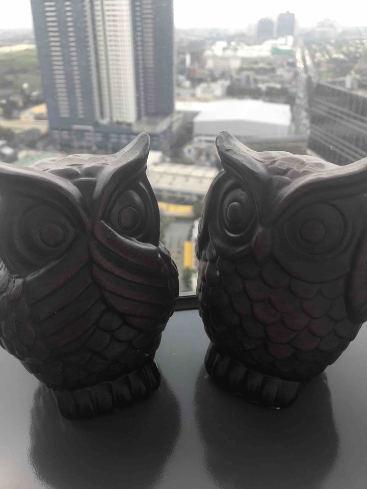 two owls