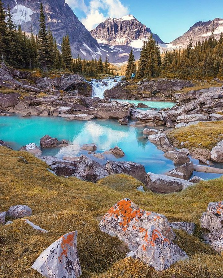 nature