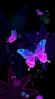 Butterflies ❤