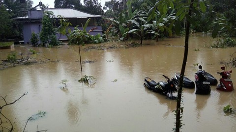 flooded