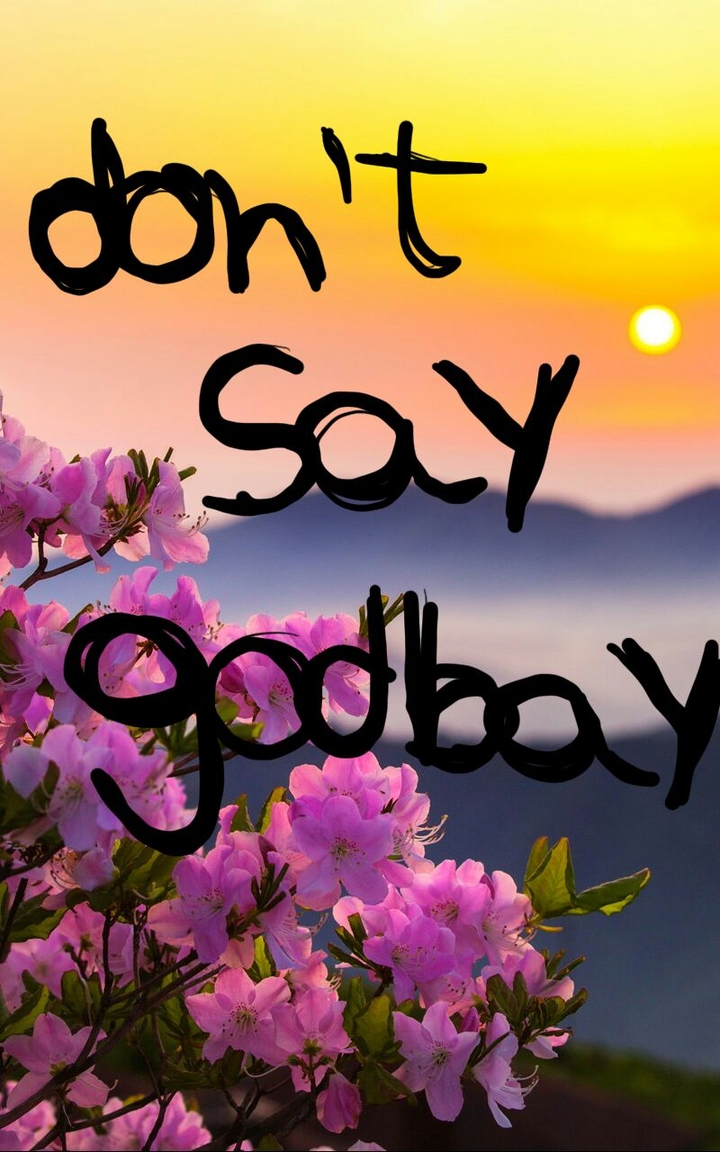 Don't Say Godbay