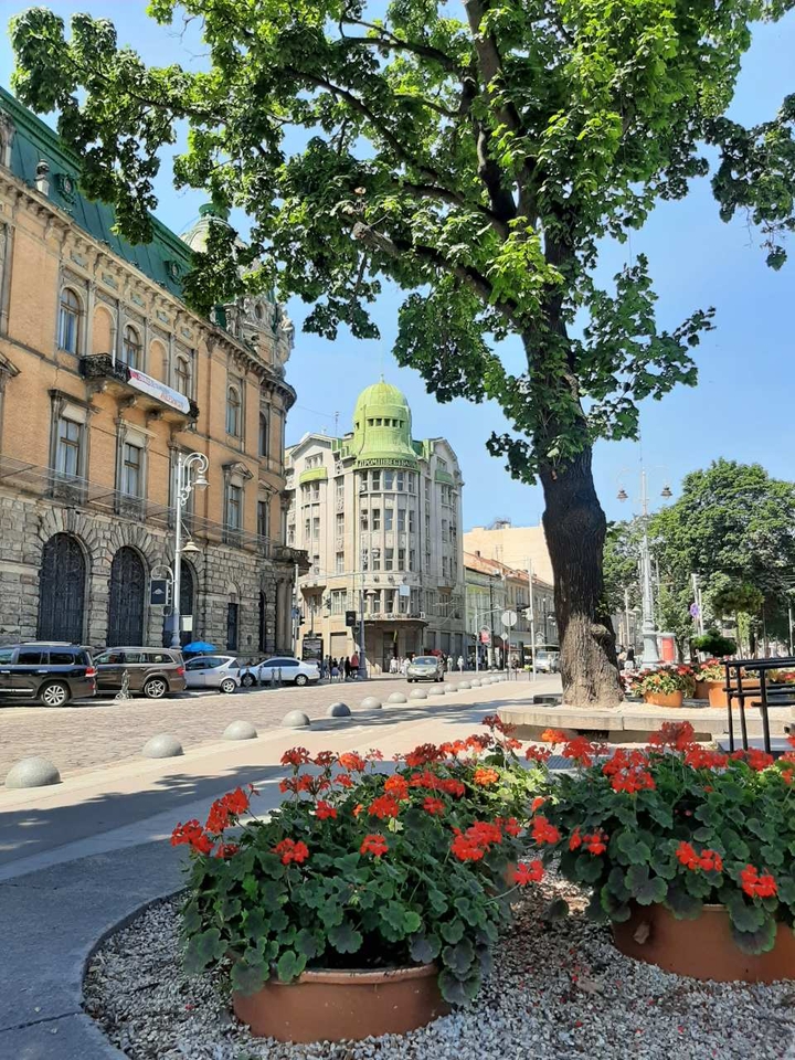 Львів то є Львів)