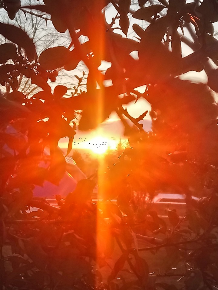 sunshine