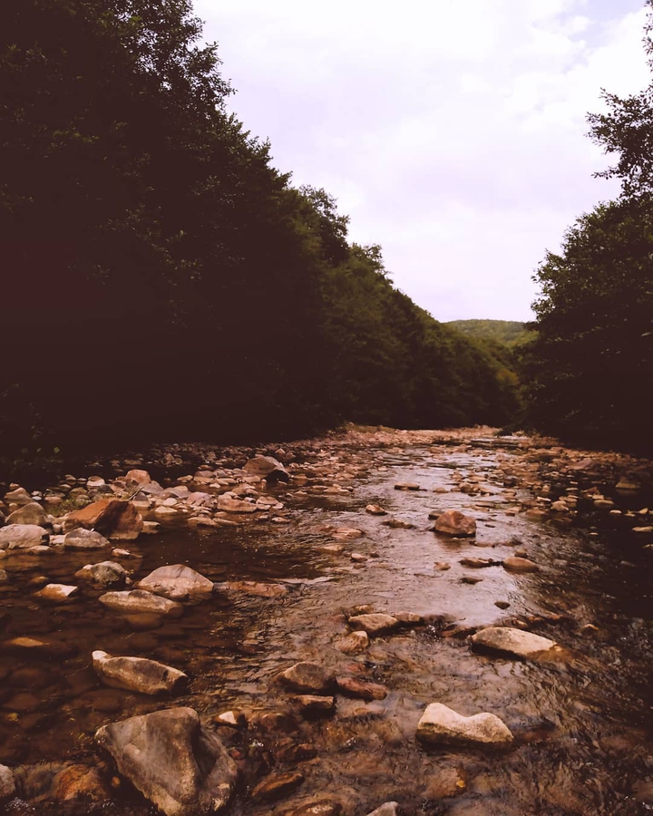 georgia country