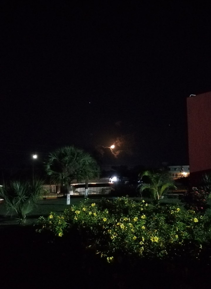 last night in the garden