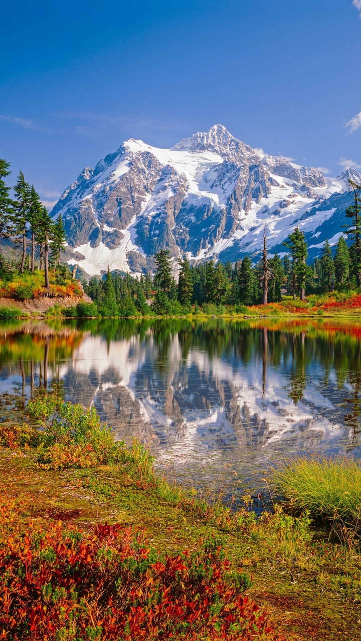 nature mount water tree 
