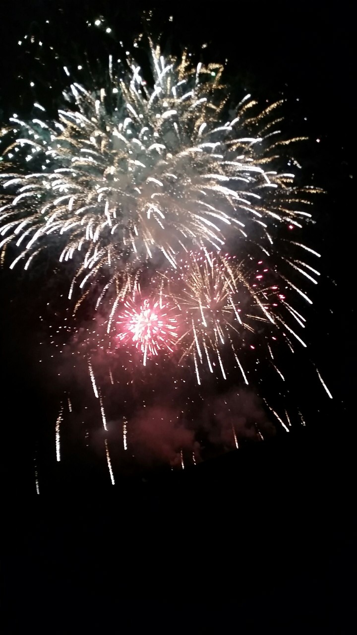 Firework in the Italy
