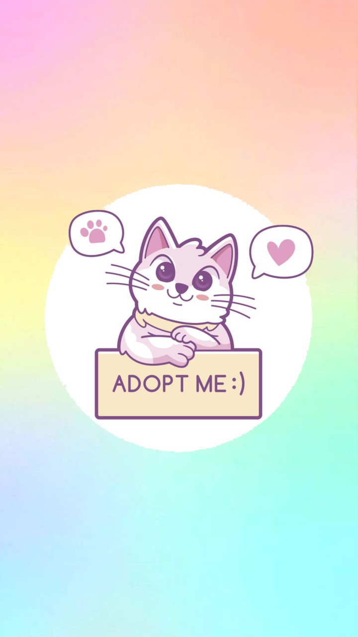 кот