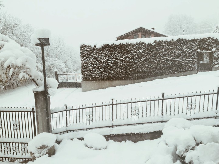 Con la neve