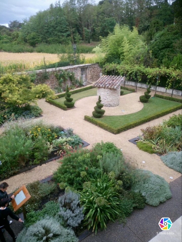 jardin