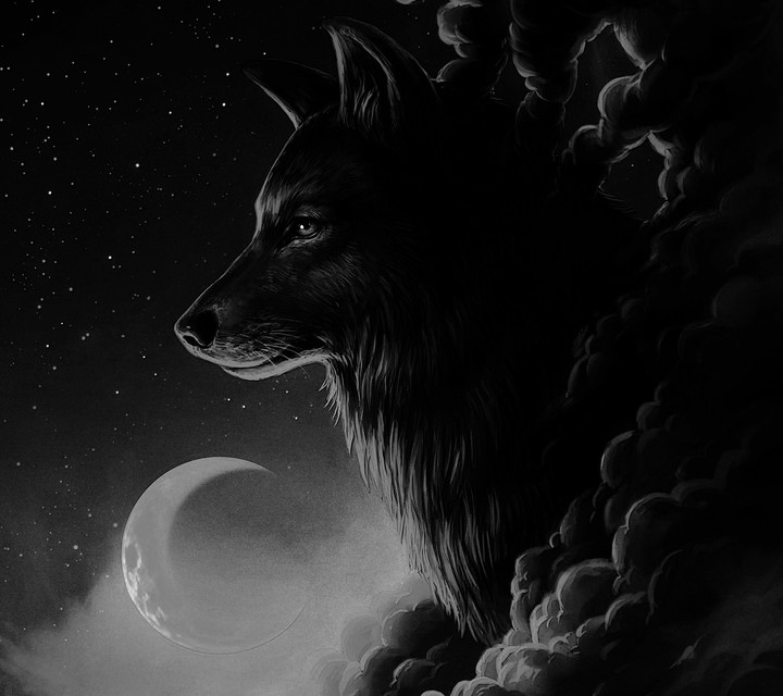 lobo
