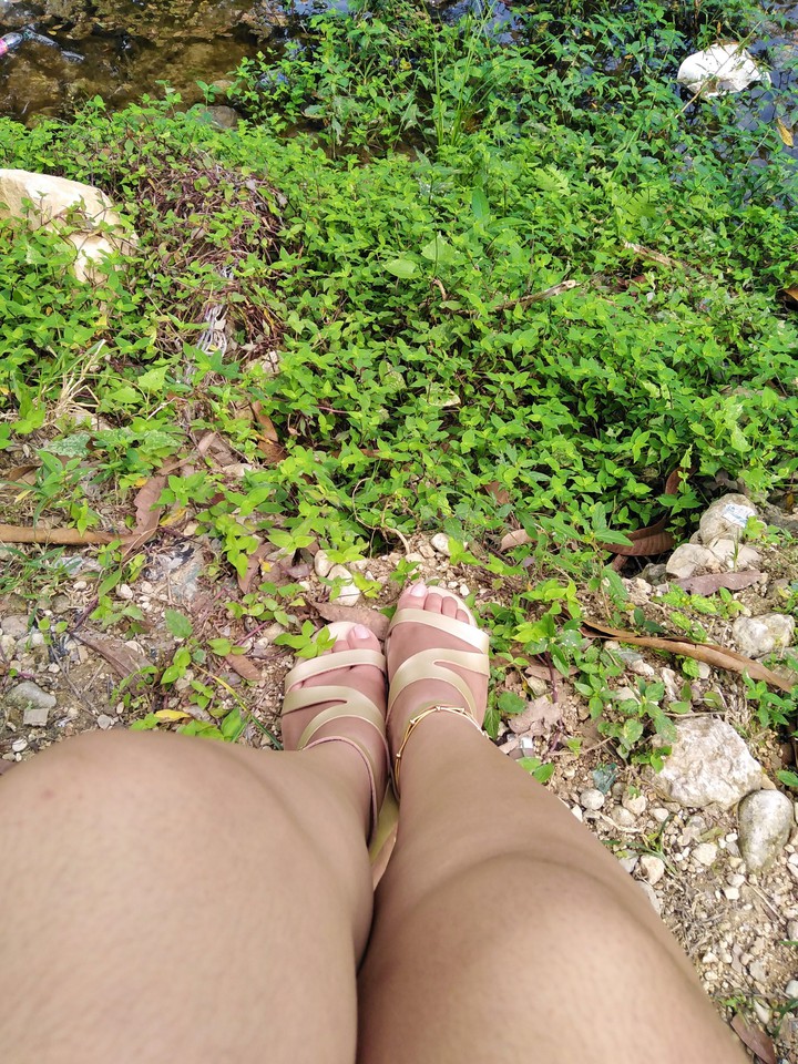 Foot