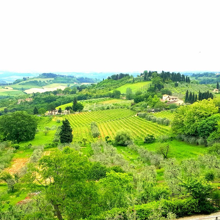 Tuscan Countryside