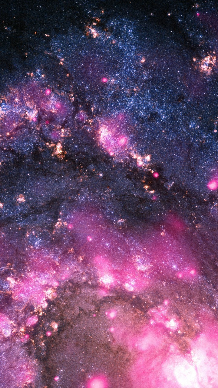 ☆°•♡~✯✯✯~♡•°☆