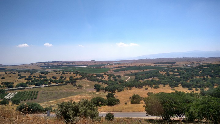 Golan heights