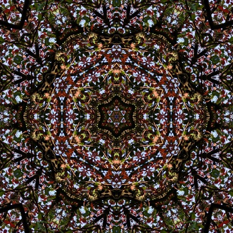 kaleidoscope