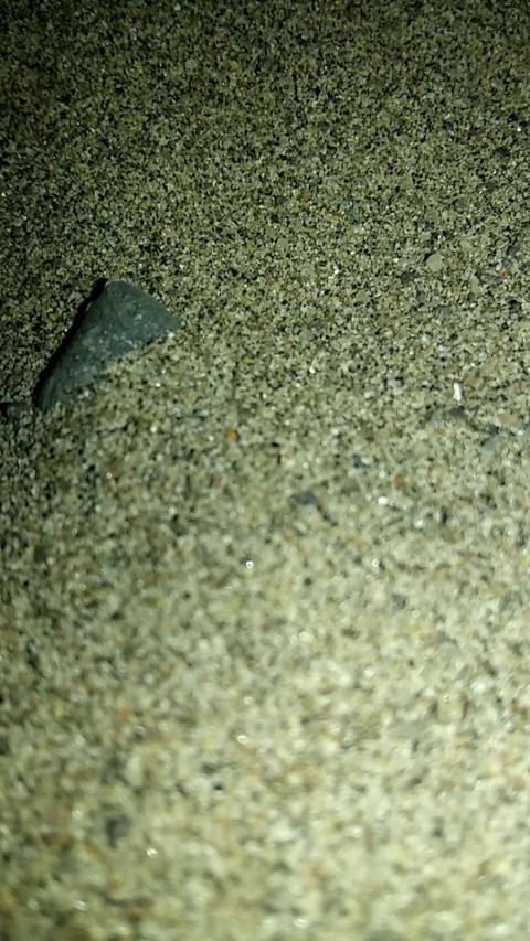 Sandy beach