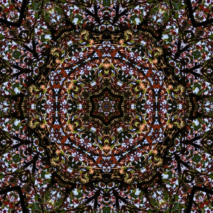 kaleidoscope