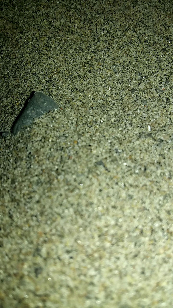 Sandy beach